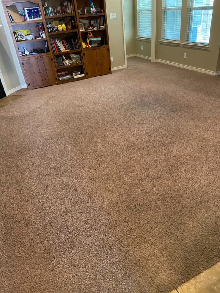 Carpet
